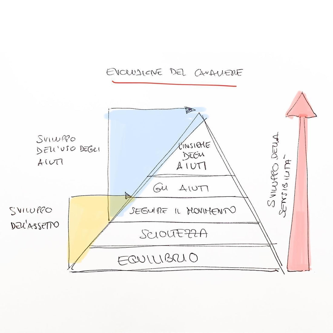 L’evoluzione del cavaliere