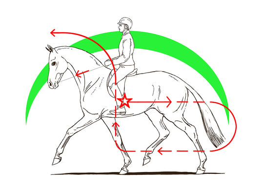 CAVALLO CON PROBLEMI DI CONTATTO!